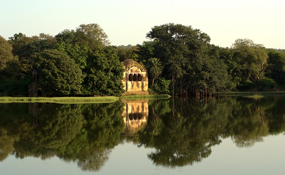In the last ten years, Ranthambore has earned a profit of about one crore rupees solely from those who come in pursuit of Machhli. The Malik Talao at Ranthambore is the smallest of the three lakes which sees lot of concentrated action. In the last ten years, Ranthambore has earned a profit of about one crore rupees solely from those who come in pursuit of Machhli. The Malik Talao at Ranthambore is the smallest of the three lakes which sees lot of concentrated action.