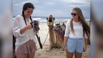 Over 2,500 foreigners expected to meet poll candidates, attend rallies as part of ‘Election Tourism’ in Gujarat