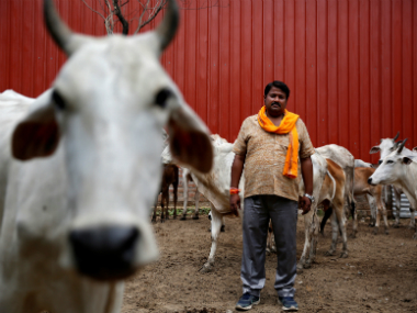 Legitimising the cow vigilantism? Maharashtra govt to issue official IDs to 'gau rakshaks' Legitimising the cow vigilantism? Maharashtra govt to issue official IDs to 'gau rakshaks'