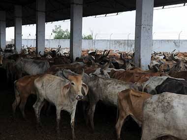 Milk is key to UP and so is leather; will cow vigilantism spoil the party for BJP?