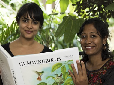 Taking flight: Two Bengaluru artists have brought hummingbirds to life with their illustrations Taking flight: Two Bengaluru artists have brought hummingbirds to life with their illustrations