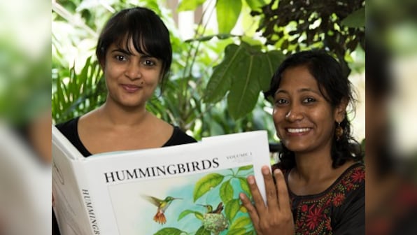 Taking flight: Two Bengaluru artists have brought hummingbirds to life with their illustrations