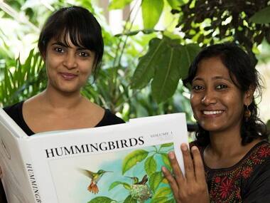 Taking flight: Two Bengaluru artists have brought hummingbirds to life with their illustrations
