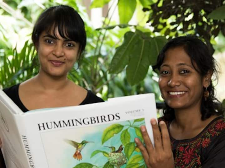 Taking flight: Two Bengaluru artists have brought hummingbirds to life with their illustrations