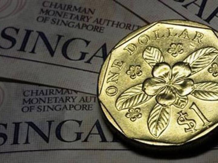 Indian-origin Singapore diplomat wants PIOs to learn Mandarin