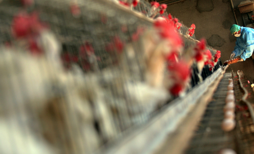 Here's why we should worry about cancerous substances in dairy products Here's why we should worry about cancerous substances in dairy products