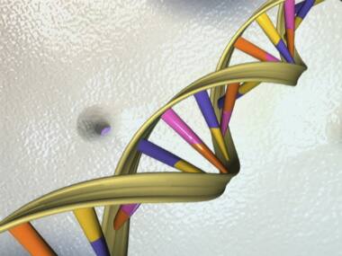 DNA testing becoming increasingly popular to diagnose and treat lifestyle diseases, reduce health risk