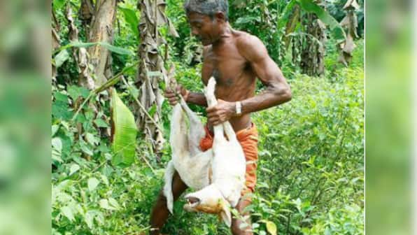 Kerala Youth Congress workers kill eight stray dogs in gory protest against Maneka Gandhi