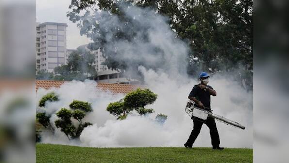 Over 2.6 billion people in Zika risk areas in Africa, Asia: Study