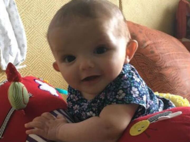 Sushma Swaraj offers to extend visa of British couple awaiting passport for surrogate baby