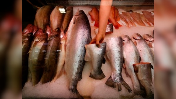 Eating fatty, cold-water fish is good for your immunity
