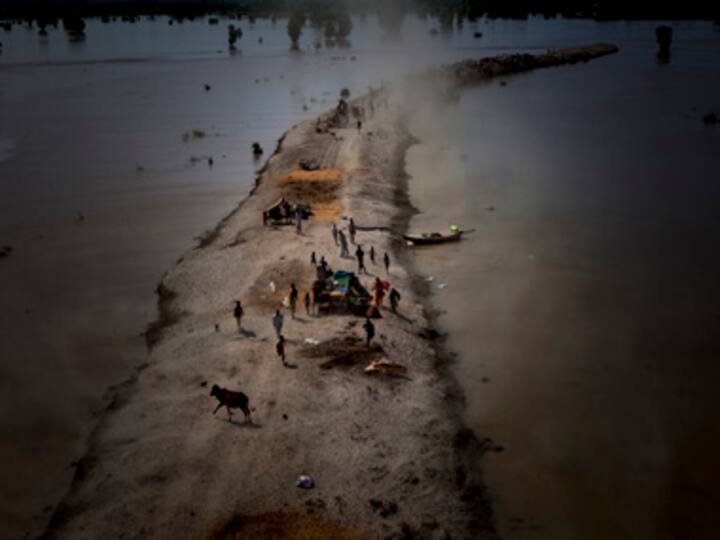 Indus Water Treaty: In a bid to 'exploit to the maximum', govt decides to fast-track irrigation projects