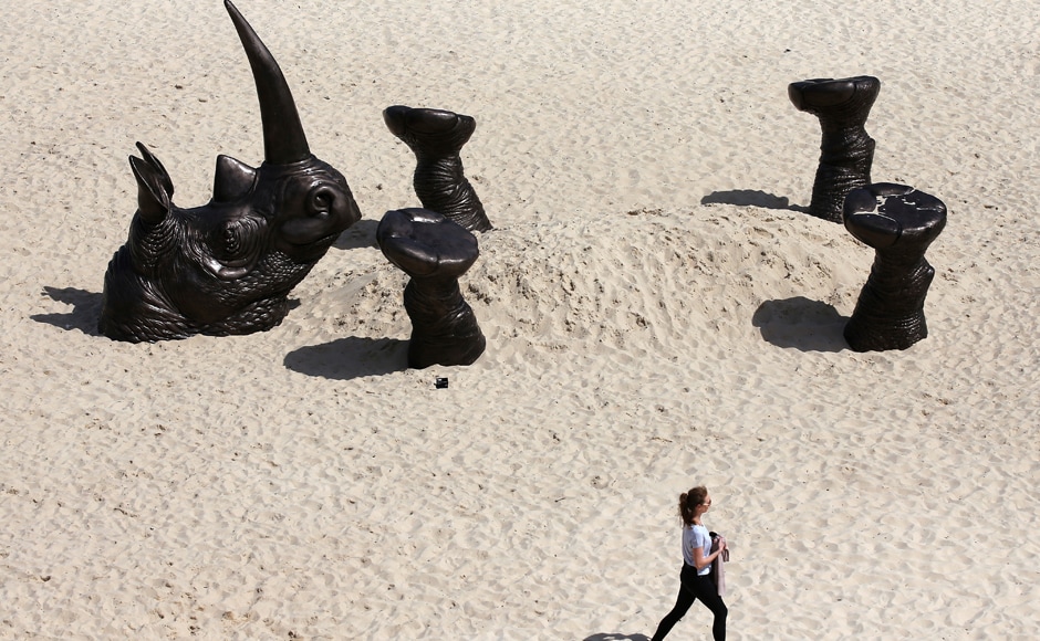 Australia's annual 'Sculpture by the Sea' exhibition showcased more than 100 giant figures looming along the coastline between Bondi and Tamarama beaches near Sydney. The picture is a work titled 'Buried Rhino' by artists Gillie and Marc Schattner. Photo: AP Australia's annual 'Sculpture by the Sea' exhibition showcased more than 100 giant figures looming along the coastline between Bondi and Tamarama beaches near Sydney. The picture is a work titled 'Buried Rhino' by artists Gillie and Marc Schattner. Photo: AP