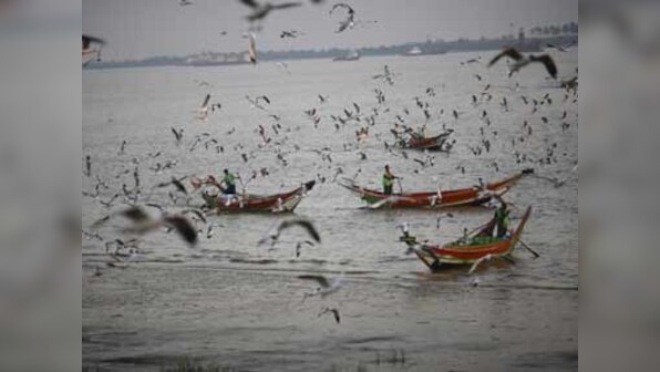 Bird flu scare in Kerala: Cases of avian influenza reported from parts of Alappuzha