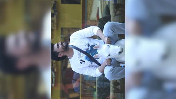Bigg Boss Season 10 Episode 5, 21st October 2016: Rocking horse task creates quite the stir
