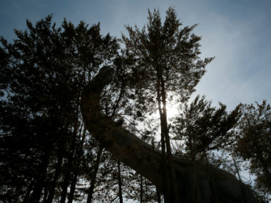 New species of long-necked dinosaur discovered in Australia New species of long-necked dinosaur discovered in Australia