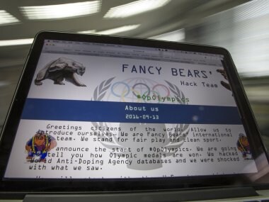 A screenshot of the Fancy Bears website fancybear.net. AP
