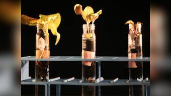 'Martian gardens' to find best veggies to grow during future manned missions to Mars