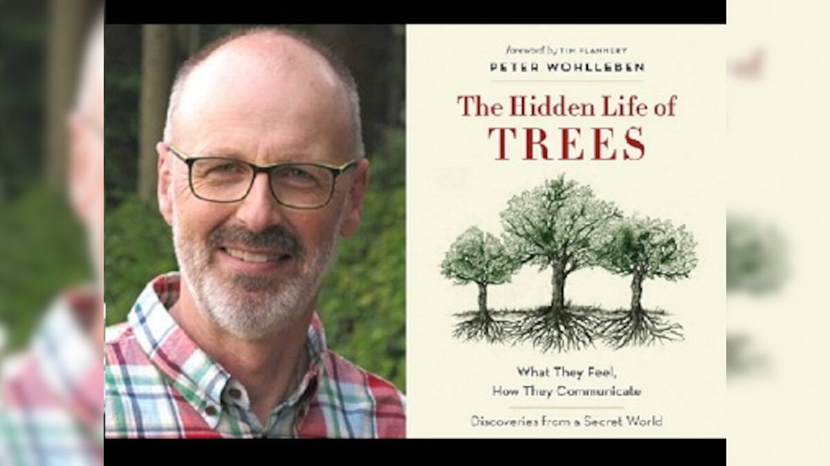 Peter Wohlleben's The Hidden Life of Trees: Astonishing revelation of