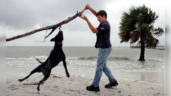 Do you really understand your pet's language and its idiosyncrasies?
