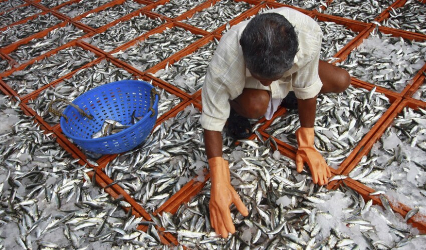 Representational image. Reuters
