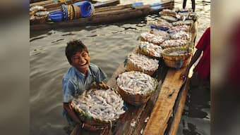 Attention fish eaters! You may be consuming toxic chemicals