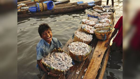 Attention fish eaters! You may be consuming toxic chemicals