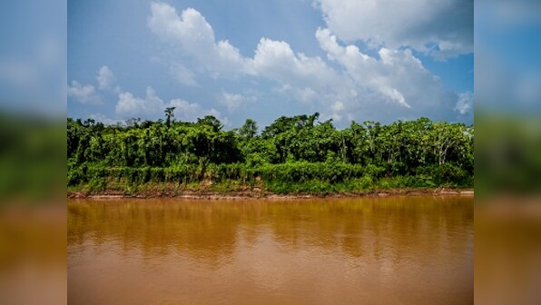 Travels through the Amazon: Journeying through the rainforest, along Lima, Peru, Brazil