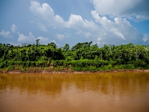 Travels through the Amazon: Journeying through the rainforest, along Lima, Peru, Brazil Travels through the Amazon: Journeying through the rainforest, along Lima, Peru, Brazil