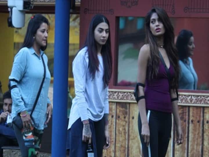 Bigg Boss 10, episode 19, 4th November 2016 Written Update: Friction flares between Bani and Lopa Bigg Boss 10, episode 19, 4th November 2016 Written Update: Friction flares between Bani and Lopa