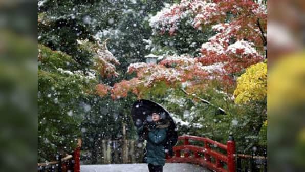Tokyo receives 'first snow' in November for first time in 54 years