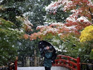 Tokyo receives 'first snow' in November for first time in 54 years Tokyo receives 'first snow' in November for first time in 54 years