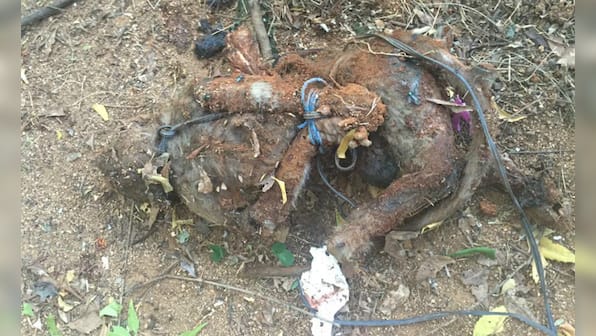 Vellore medical students brutally kill monkey: Maneka Gandhi backs fight for justice