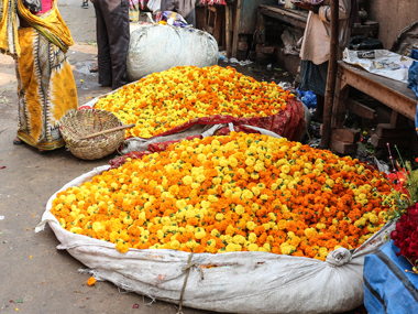 Demonetisation impact: Flower sales across the country down 80% after cash flow dries up Demonetisation impact: Flower sales across the country down 80% after cash flow dries up