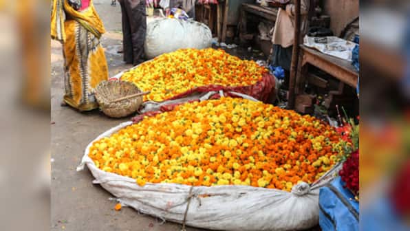 Demonetisation impact: Flower sales across the country down 80% after cash flow dries up