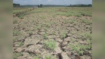 Kerala stares at worst drought in 115 years: State may impose water rationing system