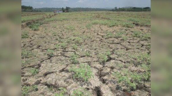 Kerala stares at worst drought in 115 years: State may impose water rationing system