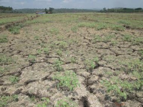 Kerala stares at worst drought in 115 years: State may impose water rationing system Kerala stares at worst drought in 115 years: State may impose water rationing system