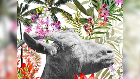 Goa to host new multi-genre GOAT festival; to focus on world music, art, food and design
