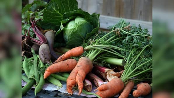 Slow Food: Why we need a movement to halt the advent of the fast, junk food culture