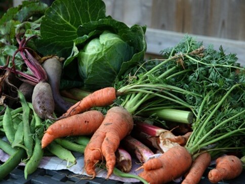Slow Food: Why we need a movement to halt the advent of the fast, junk food culture Slow Food: Why we need a movement to halt the advent of the fast, junk food culture