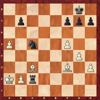 So when he reached the above position as white, what do you think did Anand played here?