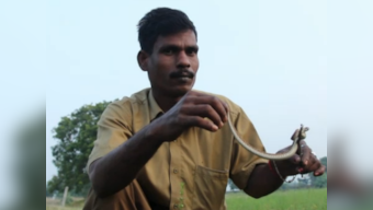Meet Kali and Vedan from a snake-catching tribe from Tamil Nadu that saves lives