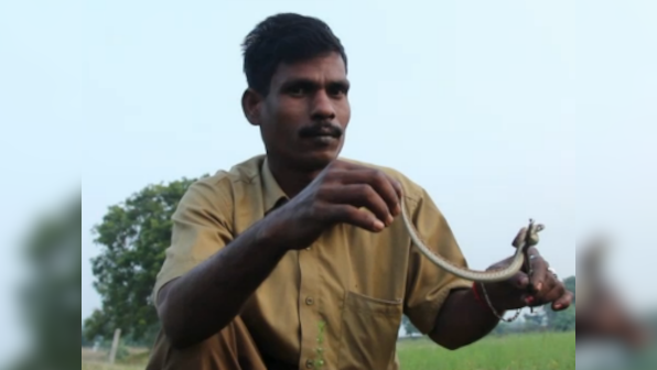 Meet Kali and Vedan from a snake-catching tribe from Tamil Nadu that saves lives