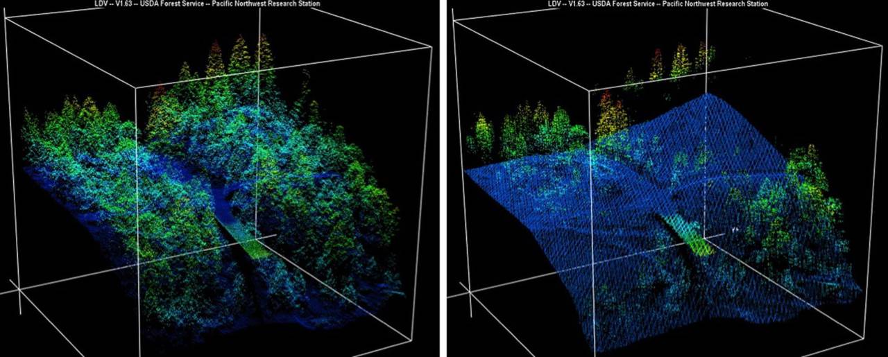 Before-and-After images from a 2014 King fire in El Dorado National Forest. In the image area shown, the fire damage was severe particularly. Image: NASA