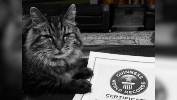 Nine lives out: World's oldest cat according to Guinness Records dies at 27