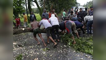 Cyclone Vardah: Heavy rains hit Tamil Nadu coastal districts, high winds uprooot many trees