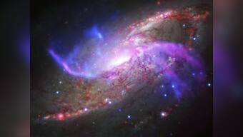 Indian physicist Thanu Padmanabhan wins decade-long bet on dark energy