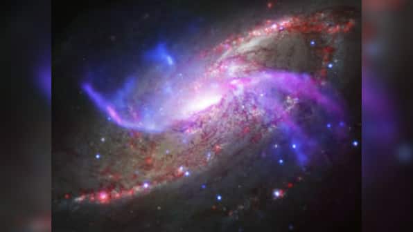 Indian physicist Thanu Padmanabhan wins decade-long bet on dark energy