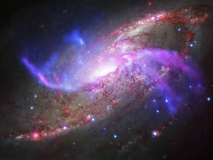 Indian physicist Thanu Padmanabhan wins decade-long bet on dark energy